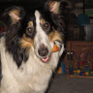 Meet your Posher, Laurie